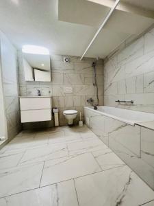 Vannituba majutusasutuses Independent Apartment for Skiing & Snowboarding
