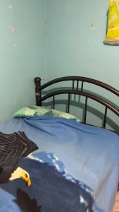 a bed with a bird sitting on top of it at Departamento Metepec in Toluca