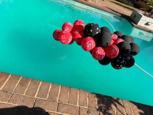 a bunch of balloons sitting on the side of a swimming pool at Barti's Home in Vanderbijlpark
