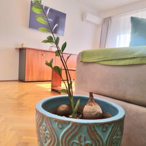 a plant in a pot next to a couch at TRANQUIL Unirii - Airy & Comfy with Parking - Next 2Parliament in Bucharest