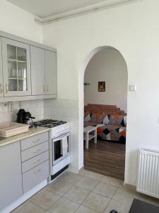 Kuchyňa alebo kuchynka v ubytovaní Harmath-Szabó Apartman