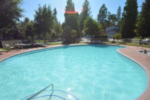 a large pool with blue water in a yard at King- Lake Area in Bass Lake