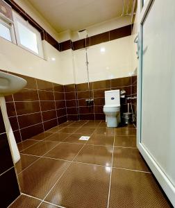 a bathroom with a toilet and a sink at Diana Palace Hotel in Diyānah