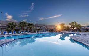 ワシントンにあるSand Cove the Pool is Open and Heated Year Round!のヤシの木と椅子が備わる大型スイミングプール
