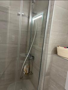 a shower with a glass door in a bathroom at Studio cocoon hypercentre Carré d'or de Strasbourg in Strasbourg +28 photos