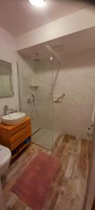 a bathroom with a glass shower and a sink at Apartman Ana Lotre in Vela Luka +23 photos