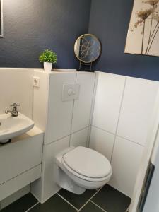 a white bathroom with a toilet and a sink at Günstige, schöne Ferienwohnung im Wanderparadies in Wernigerode