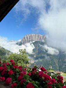 Ein allgemeiner Bergblick oder ein Berglick von der Ferienwohnung aus