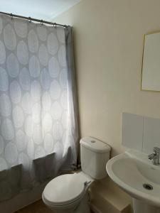 a bathroom with a toilet and a sink at Habitación cama 2 P, en zona residencial cerca Mall plaza, UCM, Casino Talca in Talca +3 photos