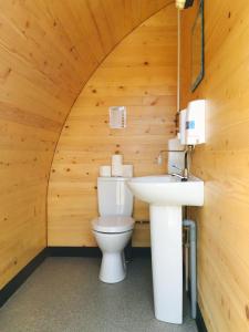 a bathroom with a toilet and a sink at Revive Wellness Pods in Rostrevor