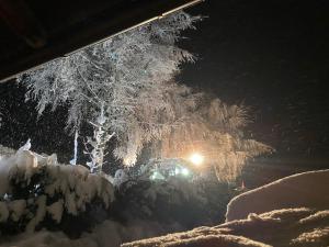 Unterhecherhof im Winter