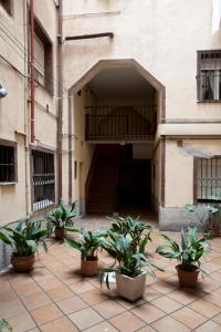 um pátio com vasos de plantas em frente a um edifício em Hostal Zabala em Madrid