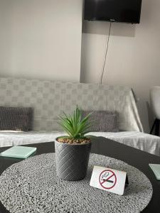 a room with a table with a potted plant on it at Διαμέρισμα με θέα σε πάρκο! in Serres
