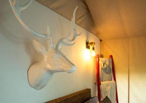 DariénGlamping Bellavista - Escapada Romántica en el Lago Calima的相册照片