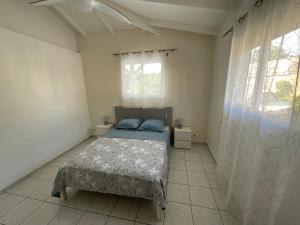 a bedroom with a bed and two windows at Location Les Flamboyants in Sainte-Anne