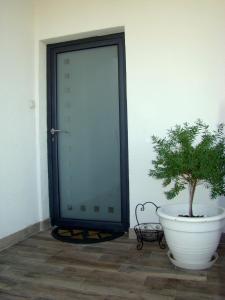 Una planta en una olla al lado de una puerta en Apartment Luka en Tučepi