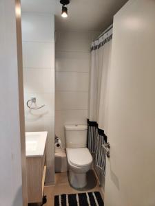 Un baño pequeño con inodoro y lavabo. en Céntrico Departamento, Ochagavia, en Puerto Montt 5 fotos más