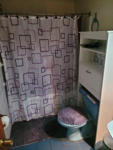 a shower curtain in a bathroom with a toilet at Económicas Habitaciones Privadas Cerca de Playa in Arica