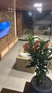 Casa Glass Lux的电视和/或娱乐中心
