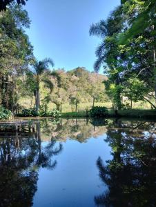 a pond with palm trees and a mountain in the background at Pousada Recanto do Beija Flor in São José dos Pinhais +11 photos