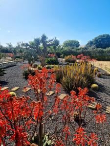 Fotografie z fotogalerie ubytování Casa Armonia v destinaci Favignana