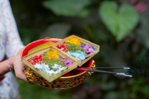 Fotografie z fotogalerie ubytování Unagi Mas Villa by Emana v Ubudu