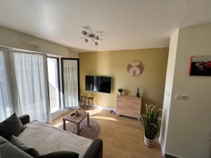 salon z kanapą i telewizorem z płaskim ekranem w obiekcie Charmant 2 pièces à 2 pas de la plage avec loggia - tout confort - FR-1-712-9 w mieście Villers-sur-Mer