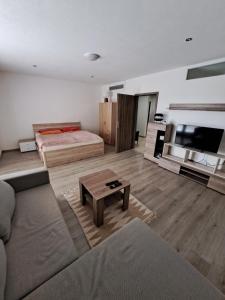 a living room with a couch and a bed at Apartmán Wellness-Detva in Detva