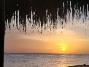einen Sonnenuntergang über dem Meer mit einer Palme in der Unterkunft Droomstudio seru coral 32 in Willemstad