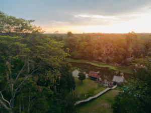 an aerial view of a river in a forest at Amazon Muyuna Lodge - All Inclusive in Paraíso