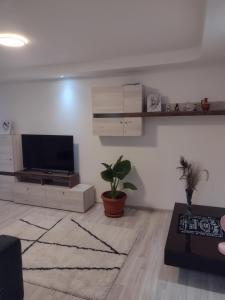 a living room with a flat screen tv on a wall at Apartament Catrys in Brezoi