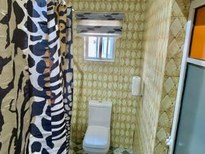 a bathroom with a toilet and a shower curtain at Oxford Villa in Nnewi +42 photos