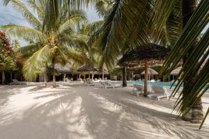 Bazen v nastanitvi oz. blizu nastanitve The Loop Beach Resort