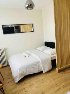 a bedroom with two beds and a mirror at Appartement plein centre ville d alfortville in Alfortville