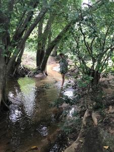 Paesaggio naturale nelle vicinanze dell'affittacamere