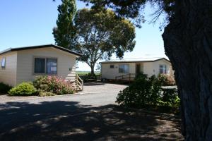 a house that has a tree in front of it at Millicent Hillview Caravan Park in Millicent
