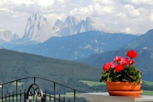 a flower pot on a table with mountains in the background at Mitterhof in Villandro +2 photos