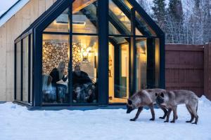 two wolves walking in the snow in front of a house at Cedar Meadows Resort & Spa, an Ascend Collection Resort in Timmins