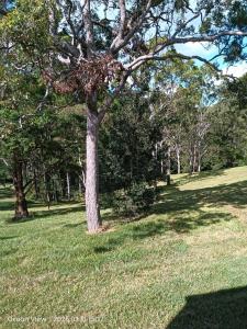 Paesaggio naturale nelle vicinanze dell'appartamento