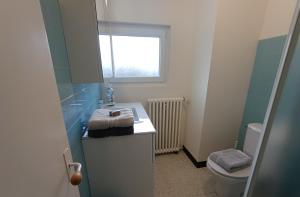 a bathroom with a sink and a toilet at Grand appartement, 2 chambres et jardin in Nîmes