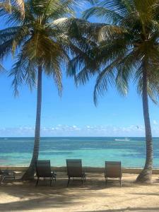 two palm trees and chairs on a beach with the ocean at Le cottage de castaing sur plage privée in Sainte-Anne