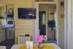 a living room with a television and a table with flowers at NEU! Haus am Teich in Dornum