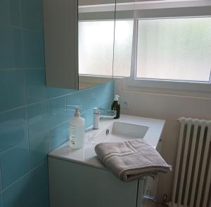 a bathroom sink with a bottle of soap and a towel at Grand appartement, 2 chambres et jardin in Nîmes