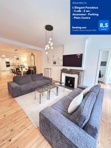 a living room with two couches and a fireplace at L'Elegant Paradoux - 3 sdb - 2 wc - Ascenseur - Parking - Plein Centre in Toulouse