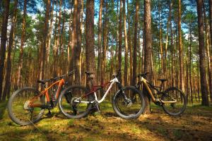 three bikes parked next to each other in a forest at Wrzosowy Młyn - Twoje miejsce nad Jeziorem in Międzyrzecz