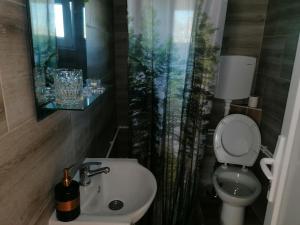 a small bathroom with a toilet and a sink at Planinska kuća Mitrović in Divčibare +51 photos
