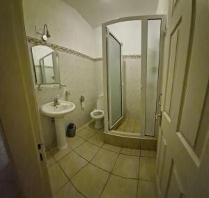 a bathroom with a shower and a sink and a toilet at Residence les orchidees in Flic-en-Flac +1 photo