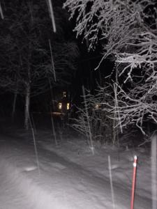 Gallery image of Lake Vanttaus in Rovaniemi