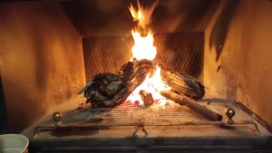 een vuuroven met twee vogels erin bij Mirador del Carpintero in Belerdas