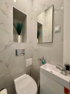 a bathroom with a toilet and a sink and a mirror at CityLink Nest Budapest - Free garage, AC & metro access in Budapest